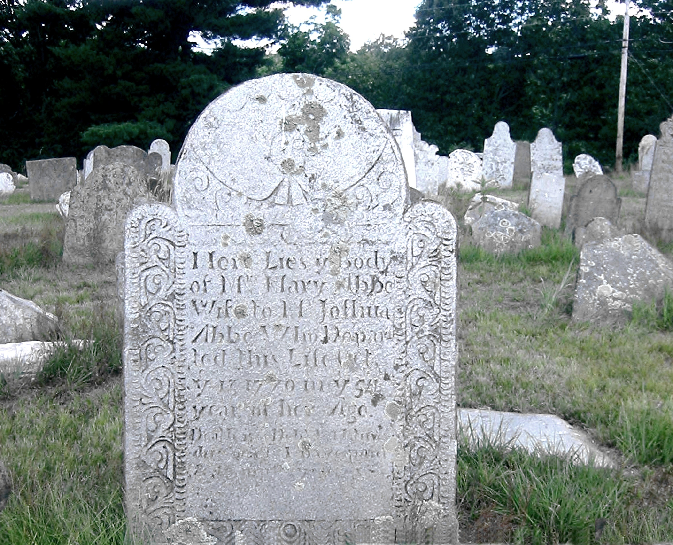 Emilia Sophia Larson